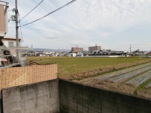 岩出駅 徒歩16分 1階の物件内観写真